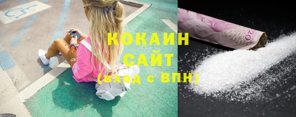 шишки Лиски
