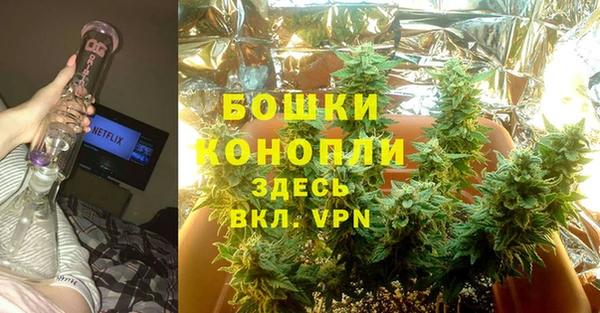 шишки Лихославль