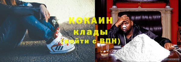 шишки Лиски
