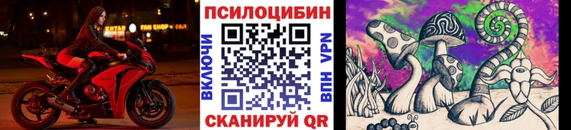 Купить закладки  Нытва  Псилоцибиновые грибы Cubensis 